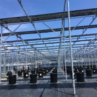 Agriculture Solar Farmland Mounting System